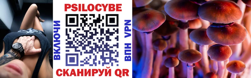 Купить закладки  Балашов  Псилоцибиновые грибы ЛСД 