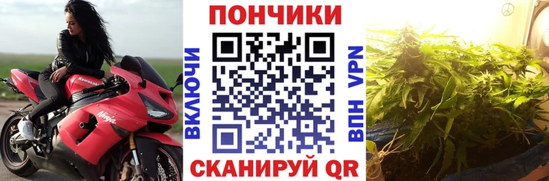 МАРИХУАНА семена  Купить  Балашов 
